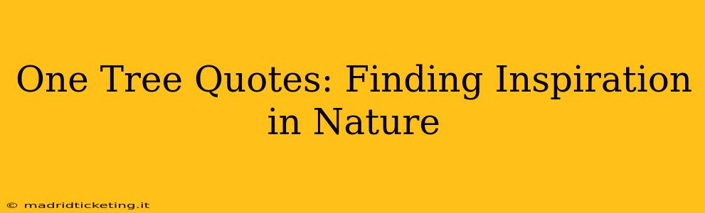 One Tree Quotes: Finding Inspiration in Nature