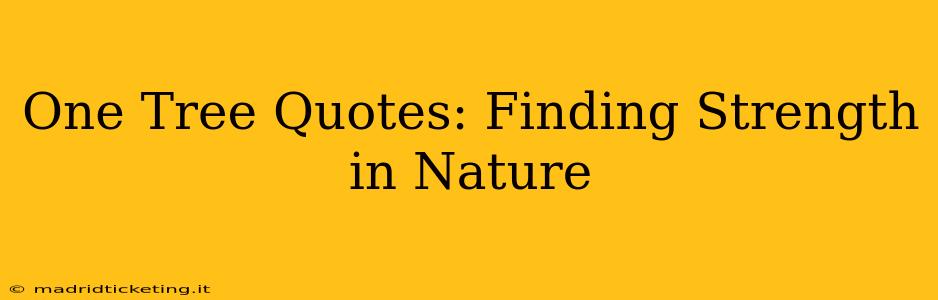 One Tree Quotes: Finding Strength in Nature