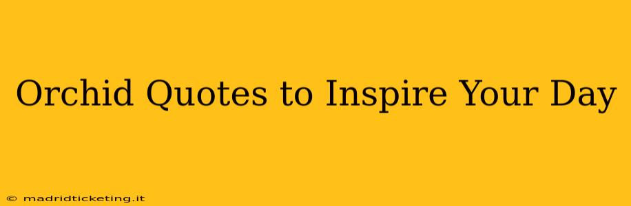 Orchid Quotes to Inspire Your Day