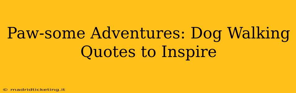 Paw-some Adventures: Dog Walking Quotes to Inspire