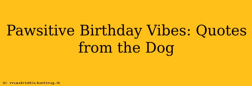 Pawsitive Birthday Vibes: Quotes from the Dog