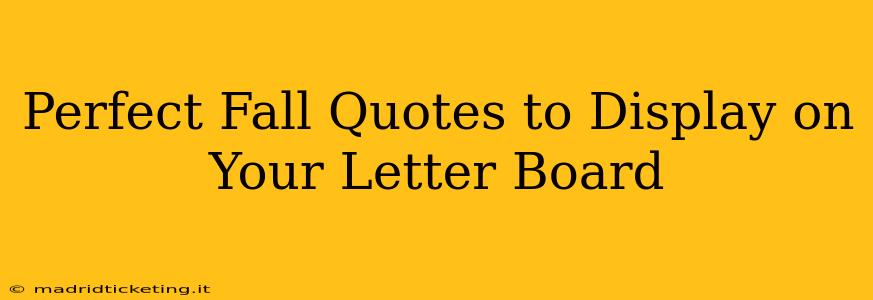 Perfect Fall Quotes to Display on Your Letter Board