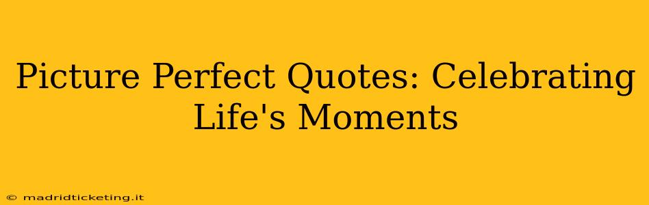Picture Perfect Quotes: Celebrating Life's Moments