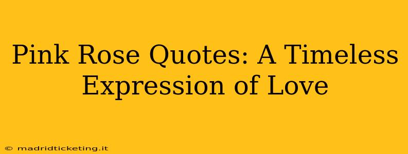 Pink Rose Quotes: A Timeless Expression of Love