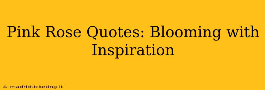Pink Rose Quotes: Blooming with Inspiration