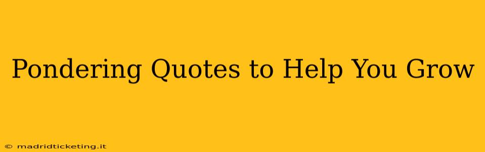 Pondering Quotes to Help You Grow
