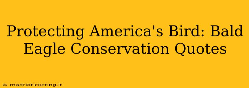 Protecting America's Bird: Bald Eagle Conservation Quotes