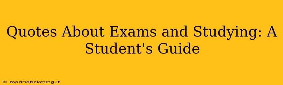 Quotes About Exams and Studying: A Student's Guide