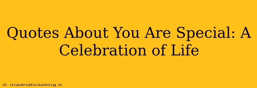 Quotes About You Are Special: A Celebration of Life
