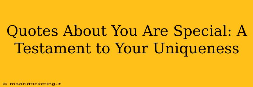 Quotes About You Are Special: A Testament to Your Uniqueness