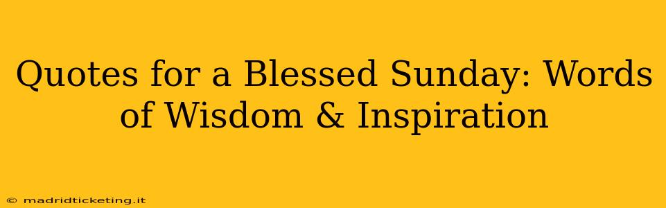 Quotes for a Blessed Sunday: Words of Wisdom & Inspiration