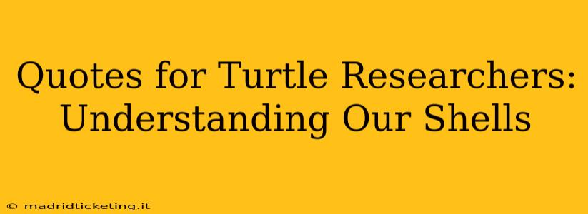 Quotes for Turtle Researchers: Understanding Our Shells