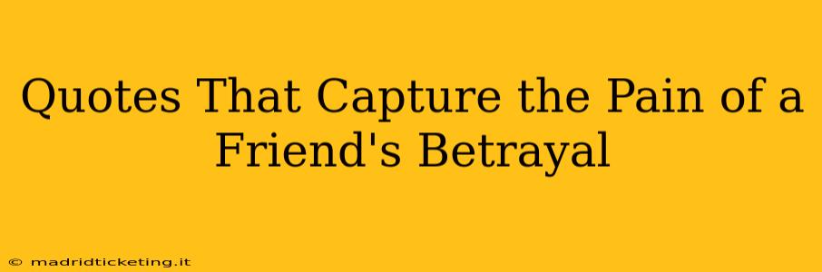Quotes That Capture the Pain of a Friend's Betrayal