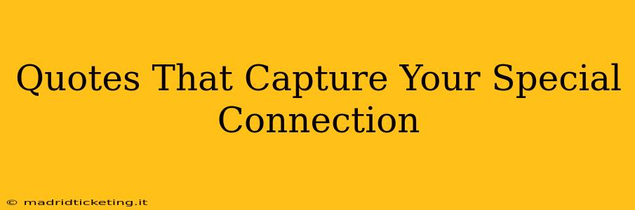 Quotes That Capture Your Special Connection