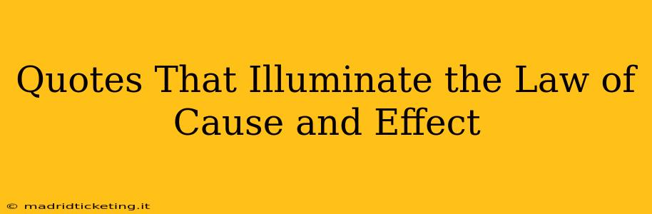 Quotes That Illuminate the Law of Cause and Effect
