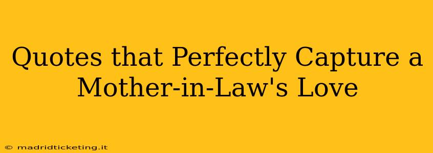 Quotes that Perfectly Capture a Mother-in-Law's Love