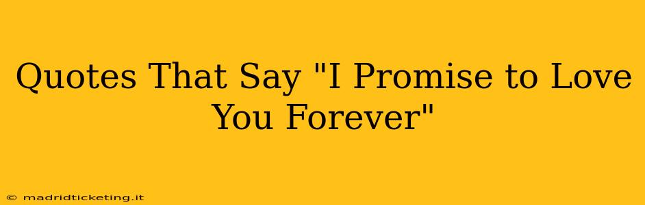 Quotes That Say "I Promise to Love You Forever"