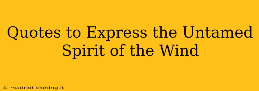 Quotes to Express the Untamed Spirit of the Wind