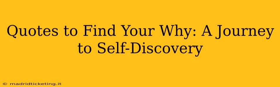 Quotes to Find Your Why: A Journey to Self-Discovery
