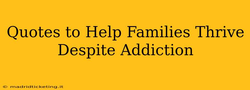 Quotes to Help Families Thrive Despite Addiction