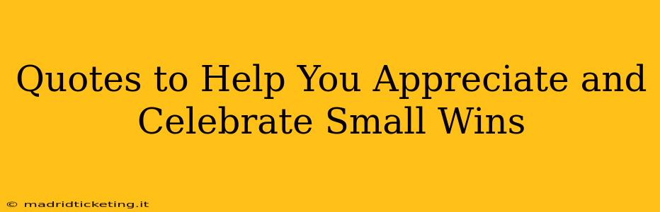 Quotes to Help You Appreciate and Celebrate Small Wins