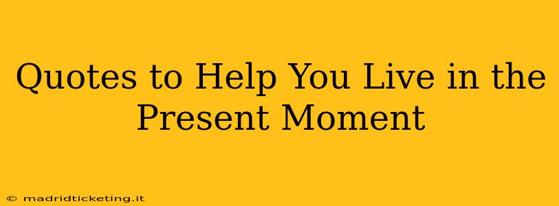 Quotes to Help You Live in the Present Moment