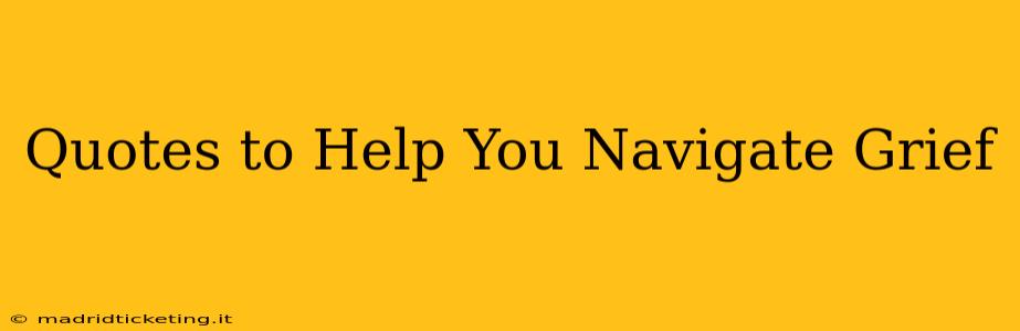 Quotes to Help You Navigate Grief