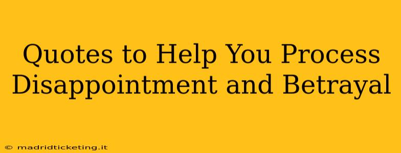 Quotes to Help You Process Disappointment and Betrayal