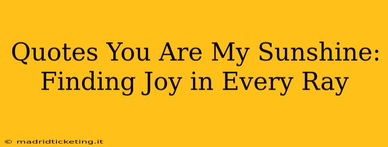 Quotes You Are My Sunshine: Finding Joy in Every Ray