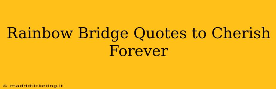Rainbow Bridge Quotes to Cherish Forever