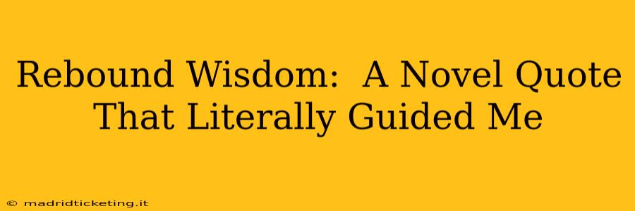 Rebound Wisdom:  A Novel Quote That Literally Guided Me