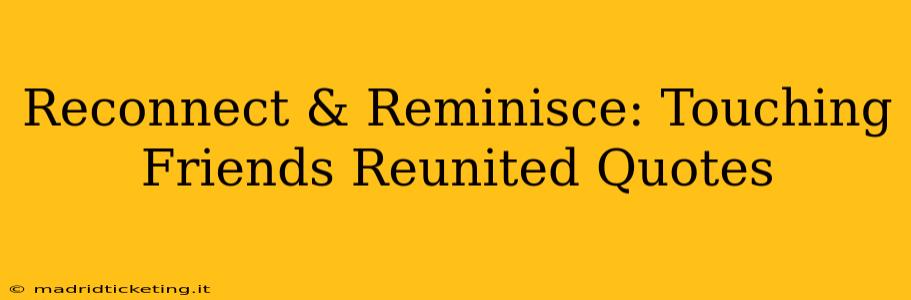 Reconnect & Reminisce: Touching Friends Reunited Quotes