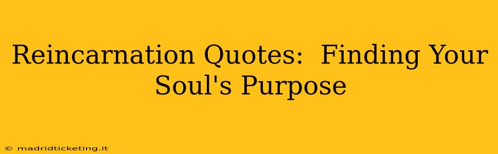 Reincarnation Quotes:  Finding Your Soul's Purpose