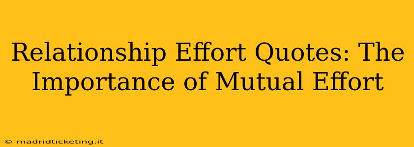 Relationship Effort Quotes: The Importance of Mutual Effort