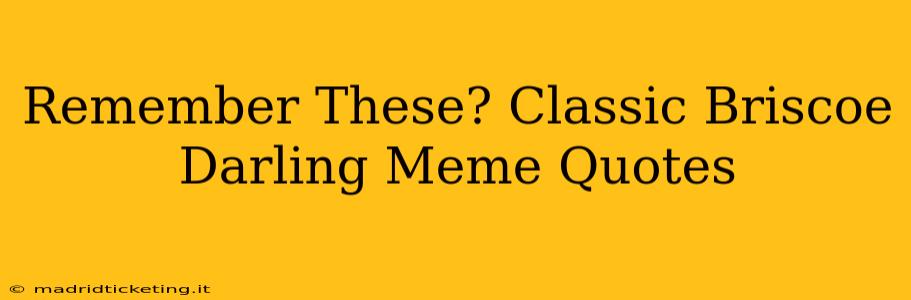 Remember These? Classic Briscoe Darling Meme Quotes