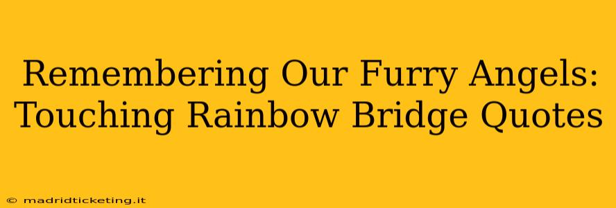 Remembering Our Furry Angels: Touching Rainbow Bridge Quotes