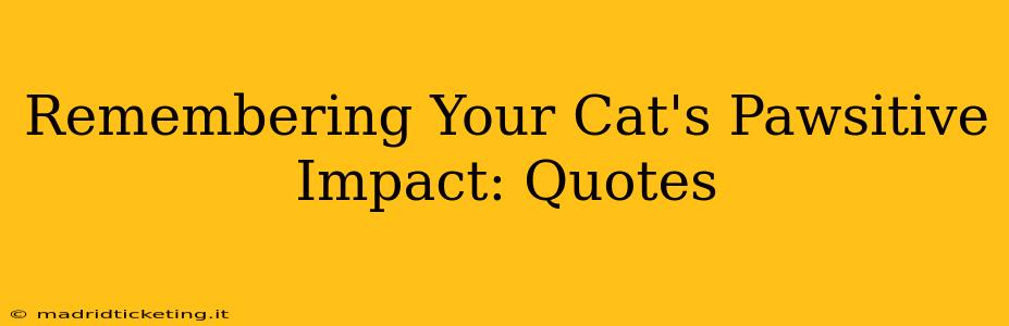 Remembering Your Cat's Pawsitive Impact: Quotes