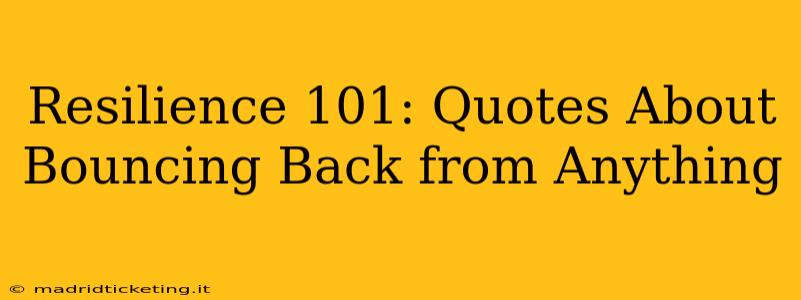 Resilience 101: Quotes About Bouncing Back from Anything