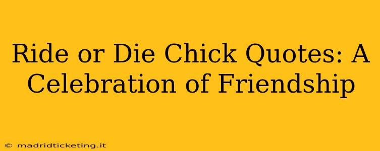 Ride or Die Chick Quotes: A Celebration of Friendship
