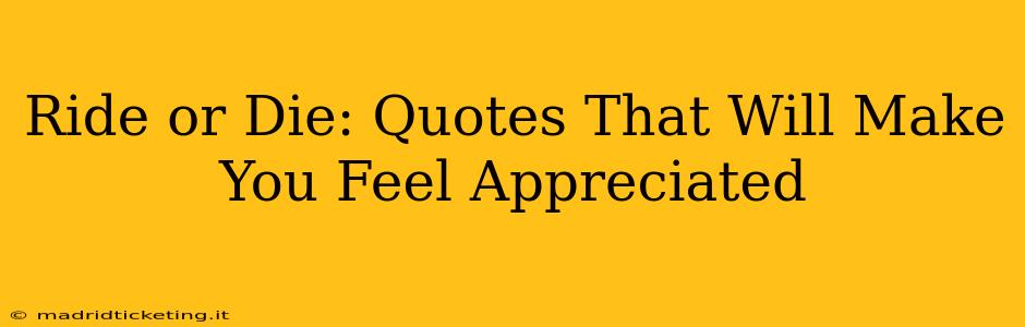 Ride or Die: Quotes That Will Make You Feel Appreciated
