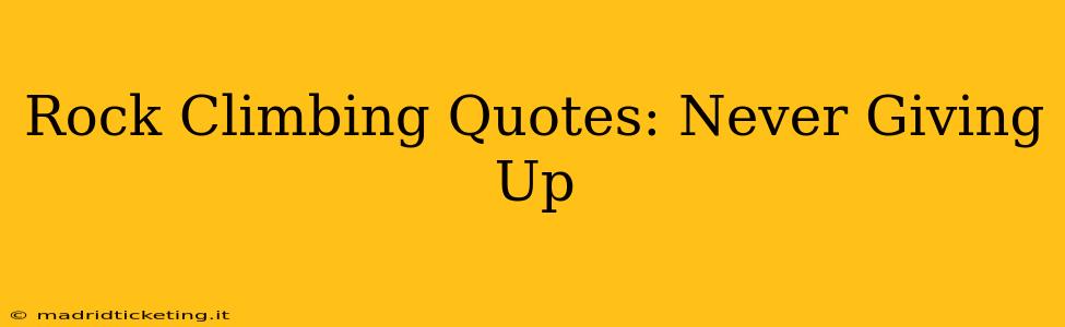 Rock Climbing Quotes: Never Giving Up