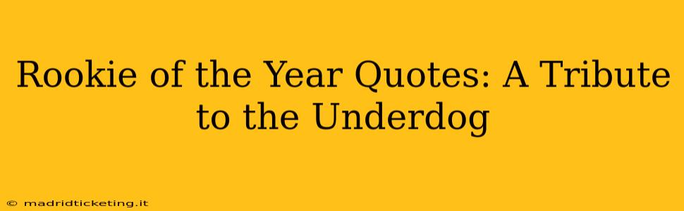 Rookie of the Year Quotes: A Tribute to the Underdog