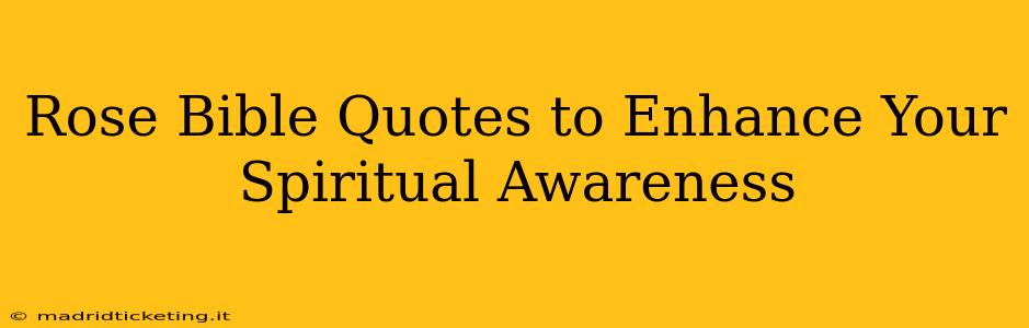 Rose Bible Quotes to Enhance Your Spiritual Awareness