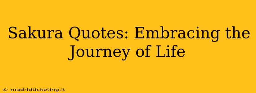 Sakura Quotes: Embracing the Journey of Life
