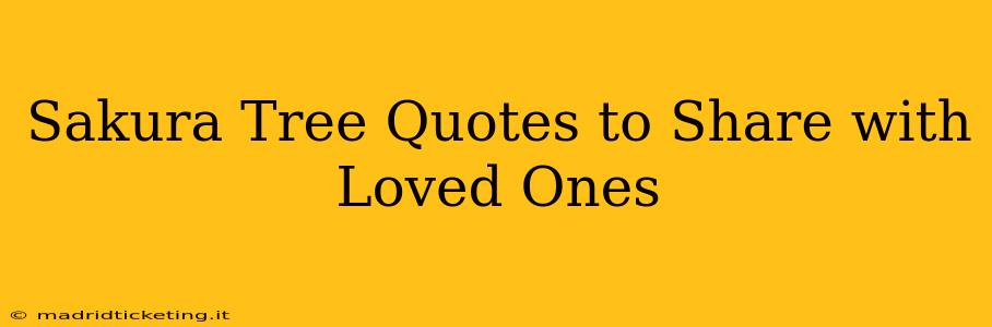 Sakura Tree Quotes to Share with Loved Ones