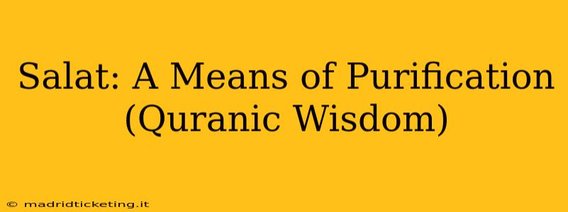 Salat: A Means of Purification (Quranic Wisdom)