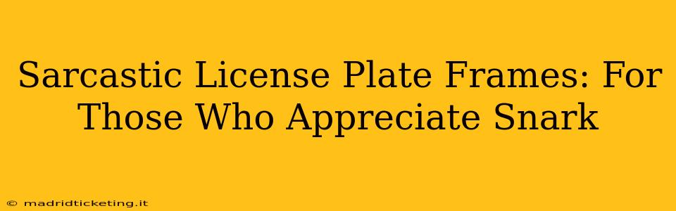 Sarcastic License Plate Frames: For Those Who Appreciate Snark