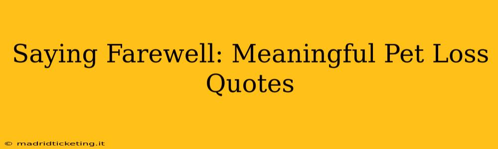 Saying Farewell: Meaningful Pet Loss Quotes