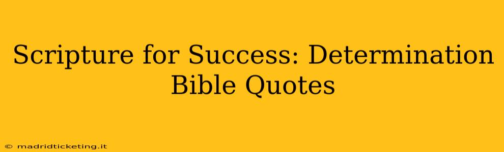 Scripture for Success: Determination Bible Quotes