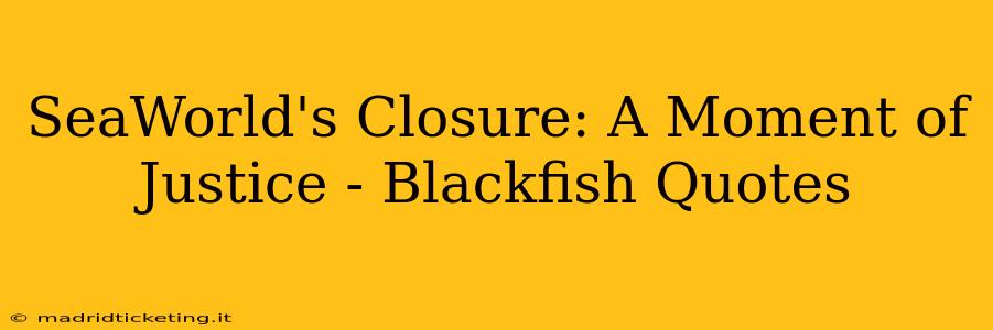 SeaWorld's Closure: A Moment of Justice - Blackfish Quotes